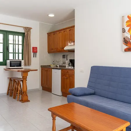 Aloe * Puerto del Carmen (Lanzarote)