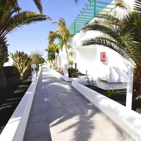 Aloe * Puerto del Carmen (Lanzarote)