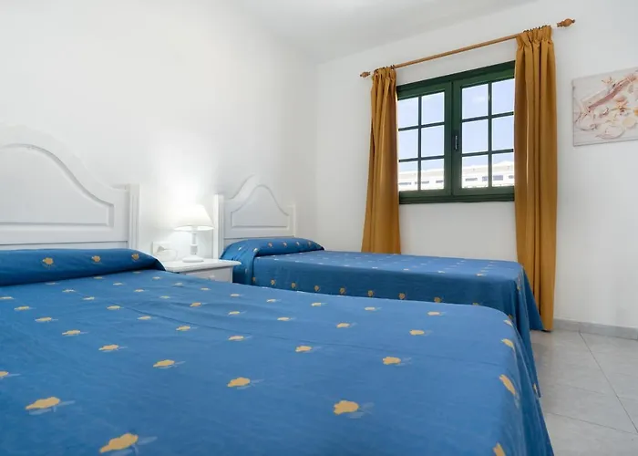 Aloe * Puerto del Carmen (Lanzarote)