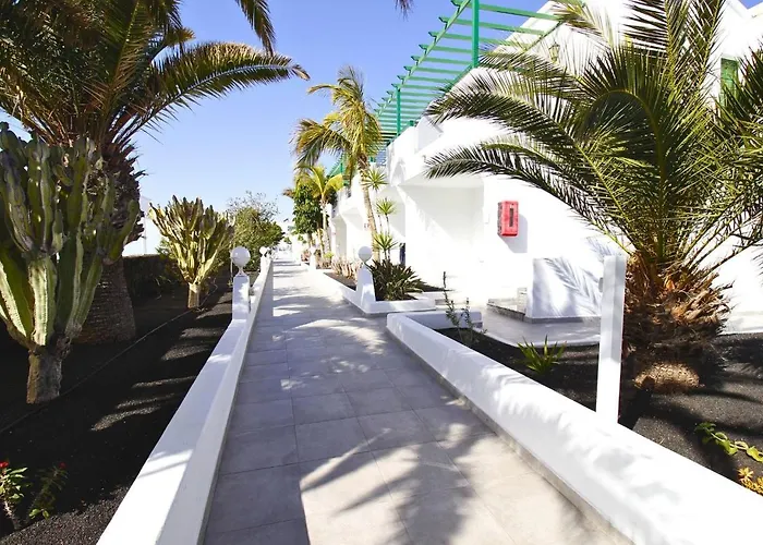 Aloe * Puerto del Carmen (Lanzarote)